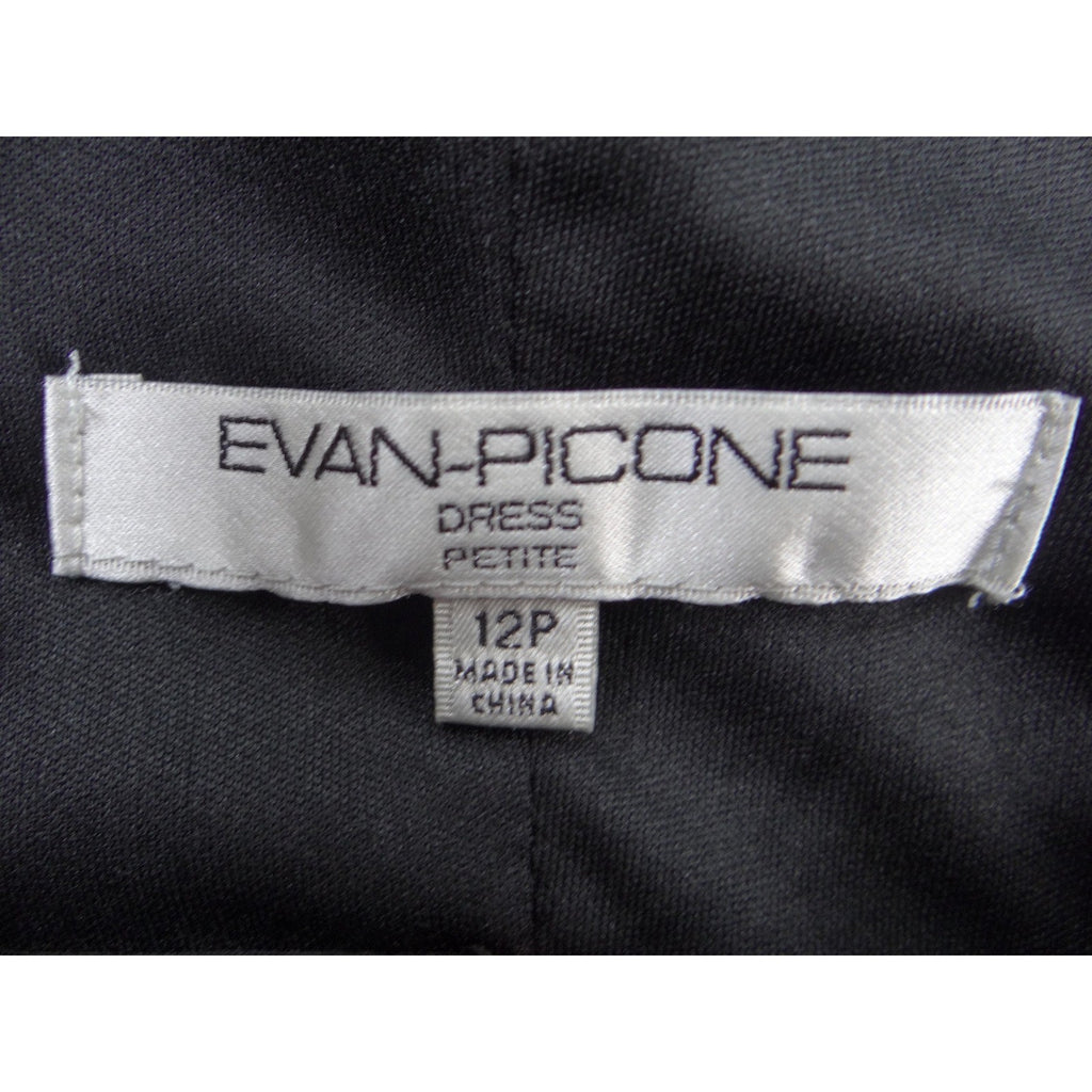 Evan-Picone Black Ruffle V-Neck Empire Waist Sleeveless Dress Petite 12P