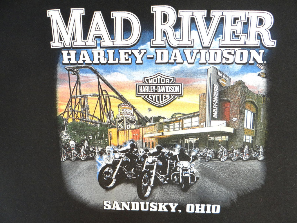 Harley-Davidson Black Graphic T-Shirt