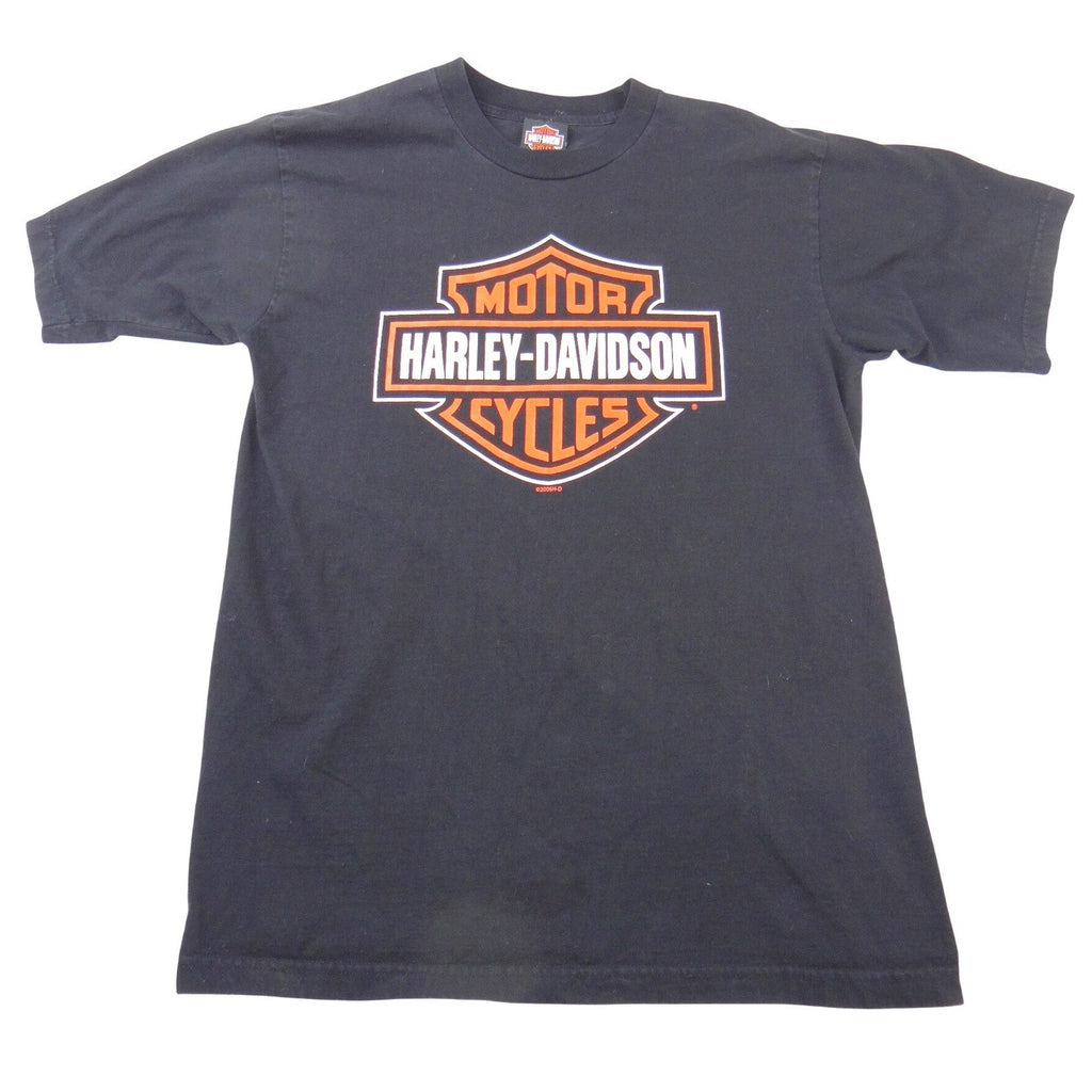 Harley-Davidson Big Logo Durango Colorado Steam Engine Graphic T-Shirt Black Lrg
